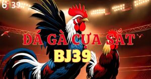 Bật mí cách chơi đá gà cựa sắt BJ39 dành cho Newbie