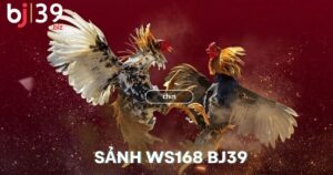 Sảnh WS168 BJ39